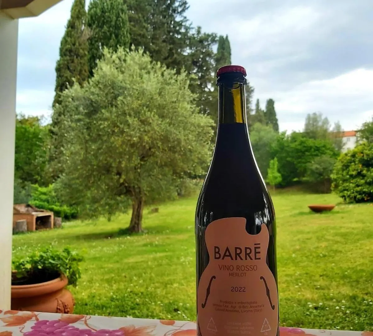 Agriturismo Campo Al Sole Castell'Anselmo Farm stay